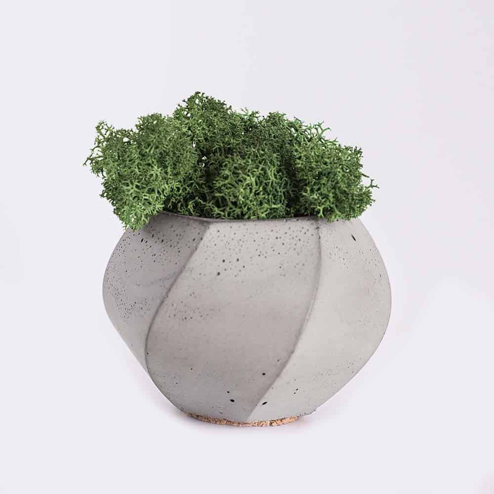 Home-2 Plant4 Free Img