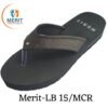 LB15mcr 100x100