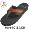 LC13mcr 100x100