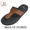 LF13mcr 100x100