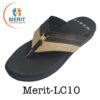 Merit LC10 100x100