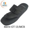 Gt13mcr 100x100